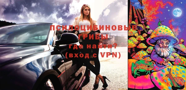 винт Аркадак