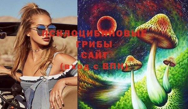 герыч Арсеньев