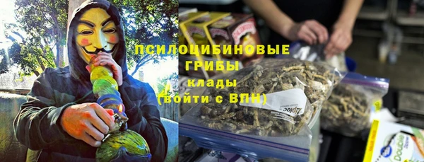 герыч Арсеньев
