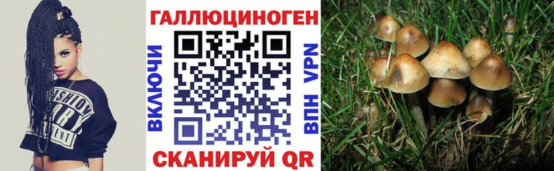 наркошоп  Остров  Псилоцибиновые грибы Cubensis 